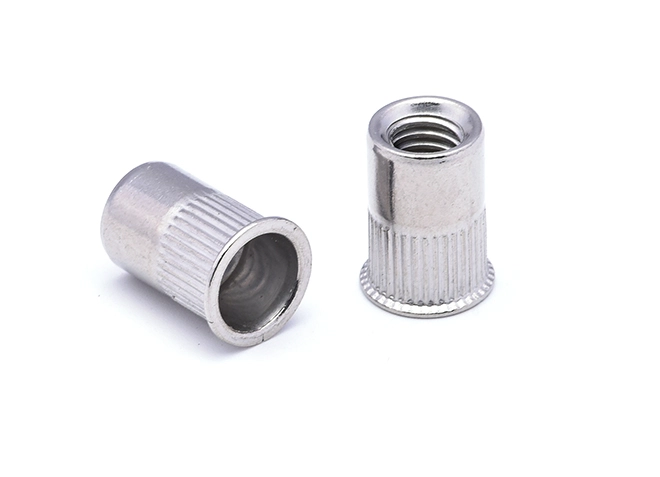 Dado rivetto a strappo non standard