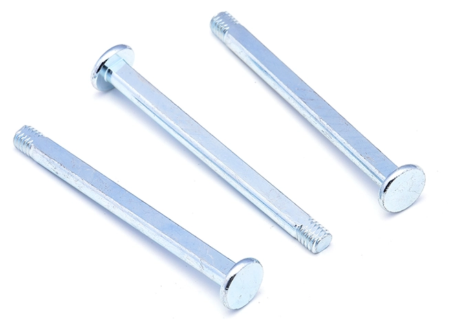 Vite a testa tonda a intaglio in zinco blu e bianco